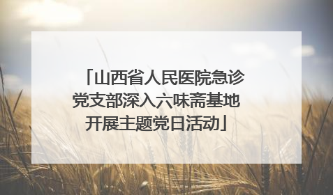 山西省人民医院急诊党支部深入六味斋基地开展主题党日活动