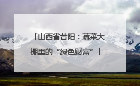 山西省昔阳：蔬菜大棚里的“绿色财富”