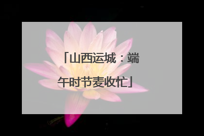 山西运城：端午时节麦收忙