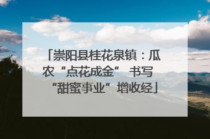 崇阳县桂花泉镇：瓜农“点花成金” 书写“甜蜜事业”增收经