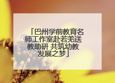 巴州学前教育名师工作室赴若羌送教助研 共筑幼教发展之梦