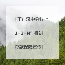 工行汉中分行“1+2+N”推进存款保险宣传