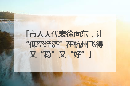 市人大代表徐向东：让“低空经济”在杭州飞得又“稳”又“好”