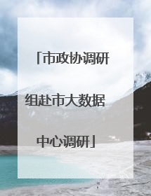 市政协调研组赴市大数据中心调研