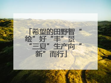 希望的田野智“绘”好“丰”景 “三夏”生产向“新”而行