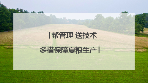 帮管理 送技术 多措保障夏粮生产