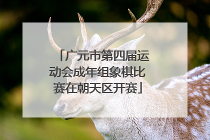 广元市第四届运动会成年组象棋比赛在朝天区开赛