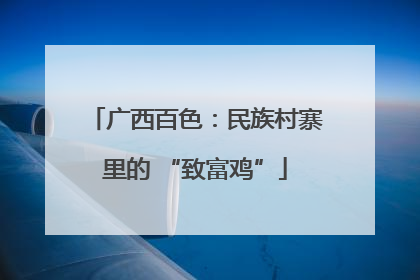 广西百色：民族村寨里的 “致富鸡”