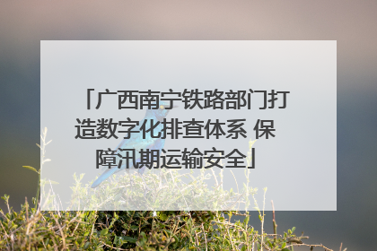 广西南宁铁路部门打造数字化排查体系 保障汛期运输安全