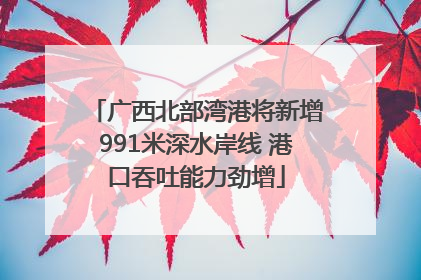 广西北部湾港将新增991米深水岸线 港口吞吐能力劲增