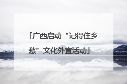 广西启动“记得住乡愁”文化外宣活动