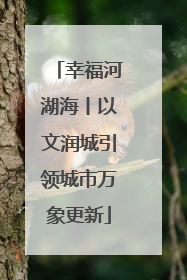 幸福河湖海丨以文润城引领城市万象更新