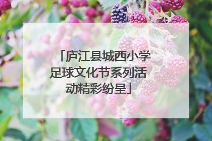 庐江县城西小学足球文化节系列活动精彩纷呈