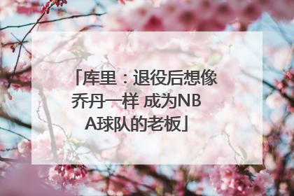 库里：退役后想像乔丹一样 成为NBA球队的老板
