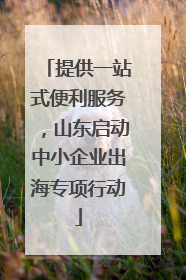 提供一站式便利服务，山东启动中小企业出海专项行动