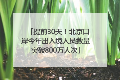 提前30天！北京口岸今年出入境人员数量突破800万人次