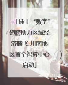 插上“数字”翅膀助力区域经济腾飞 川南地区首个智算中心启动