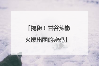 揭秘！甘谷辣椒火爆出圈的密码