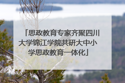 思政教育专家齐聚四川大学锦江学院共研大中小学思政教育一体化