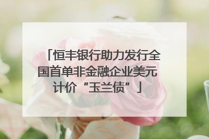 恒丰银行助力发行全国首单非金融企业美元计价“玉兰债”