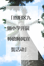 恩阳区九镇小学开展师德师风宣誓活动