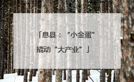 息县：“小金蛋”撬动“大产业”