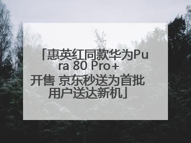 惠英红同款华为Pura 80 Pro+开售 京东秒送为首批用户送达新机