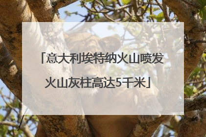 意大利埃特纳火山喷发 火山灰柱高达5千米