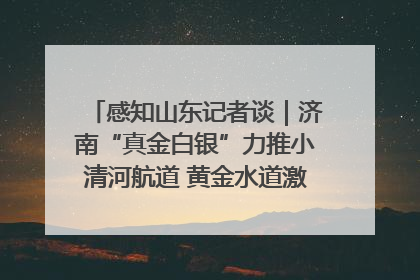 感知山东记者谈｜济南“真金白银”力推小清河航道 黄金水道激活区域经济新动能
