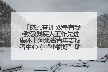 感恩奋进 双争有我•致敬残疾人工作先进集体丨河北省青年志愿者中心（“小橘灯”助残接力计划实施团队）：用温暖陪伴，守护特殊孩子成长