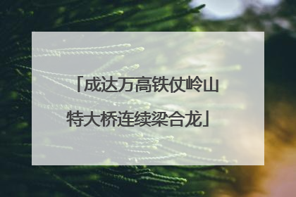 成达万高铁仗岭山特大桥连续梁合龙