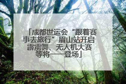成都世运会“跟着赛事去旅行”眉山站开启 霹雳舞、无人机大赛等将一一登场