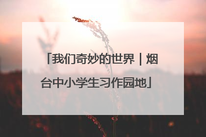 我们奇妙的世界｜烟台中小学生习作园地