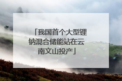 我国首个大型锂钠混合储能站在云南文山投产