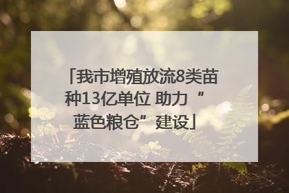 我市增殖放流8类苗种13亿单位 助力“蓝色粮仓”建设