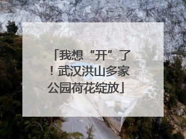 我想“开”了！武汉洪山多家公园荷花绽放