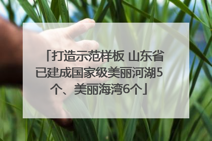 打造示范样板 山东省已建成国家级美丽河湖5个、美丽海湾6个