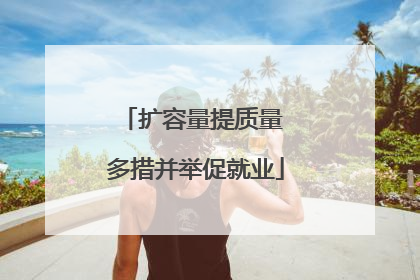 扩容量提质量 多措并举促就业