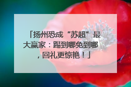 扬州恐成“苏超”最大赢家：踢到哪免到哪，回礼更惊艳！