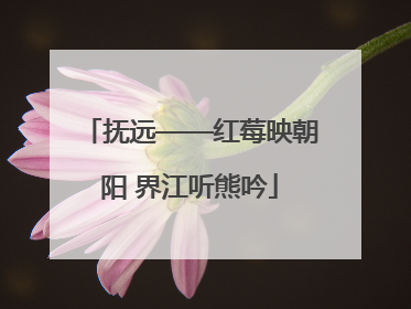抚远——红莓映朝阳 界江听熊吟
