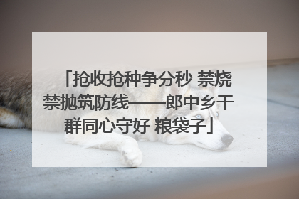 抢收抢种争分秒 禁烧禁抛筑防线——郎中乡干群同心守好 粮袋子