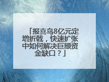 报喜鸟8亿元定增折戟，快速扩张中如何解决巨额资金缺口？