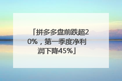 拼多多盘前跌超20%，第一季度净利润下降45%