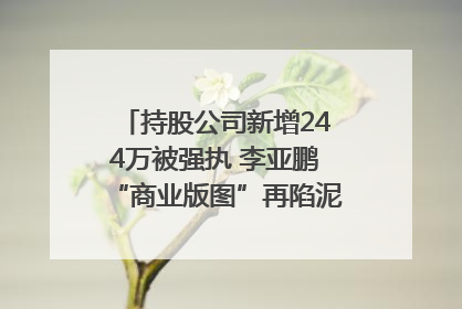 持股公司新增244万被强执 李亚鹏“商业版图”再陷泥潭？｜科技观察