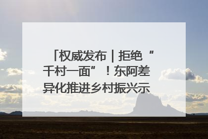 权威发布｜拒绝“千村一面”！东阿差异化推进乡村振兴示范片区建设