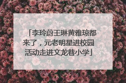 李玲蔚王琳黄雅琼都来了，元老明星进校园活动走进文龙巷小学