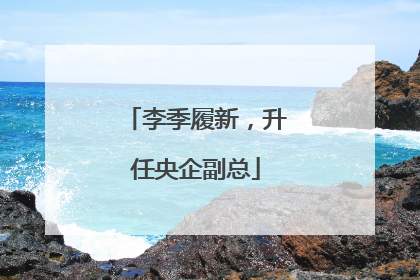 李季履新，升任央企副总