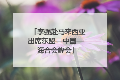 李强赴马来西亚出席东盟—中国—海合会峰会