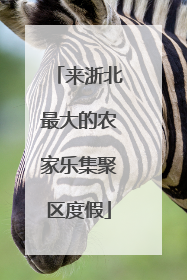 来浙北最大的农家乐集聚区度假