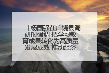 杨国强在广饶县调研时强调 把学习教育成果转化为高质量发展成效 推动经济稳健向好进中提质